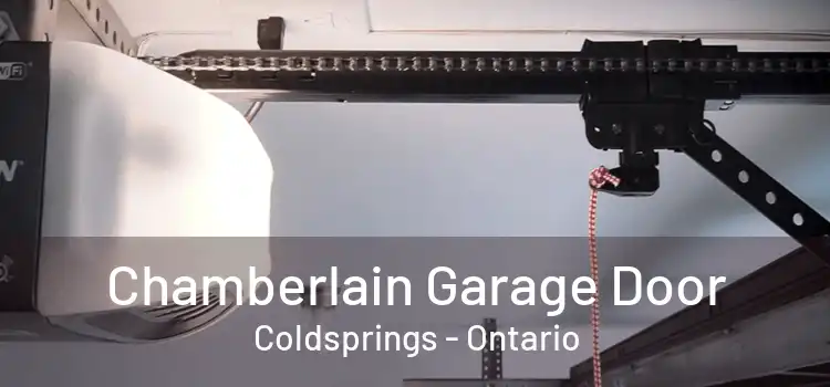 Chamberlain Garage Door Coldsprings - Ontario