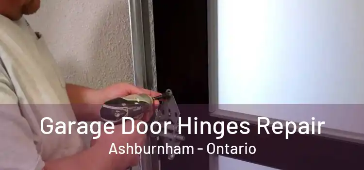 Garage Door Hinges Repair Ashburnham - Ontario