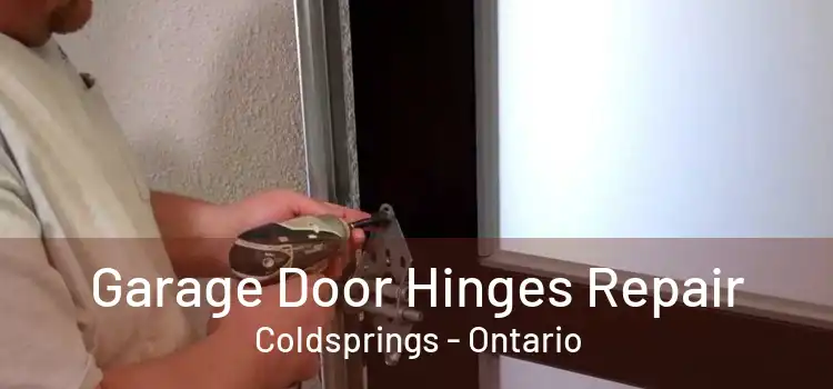 Garage Door Hinges Repair Coldsprings - Ontario