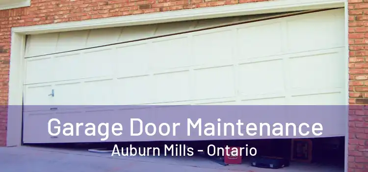Garage Door Maintenance Auburn Mills - Ontario