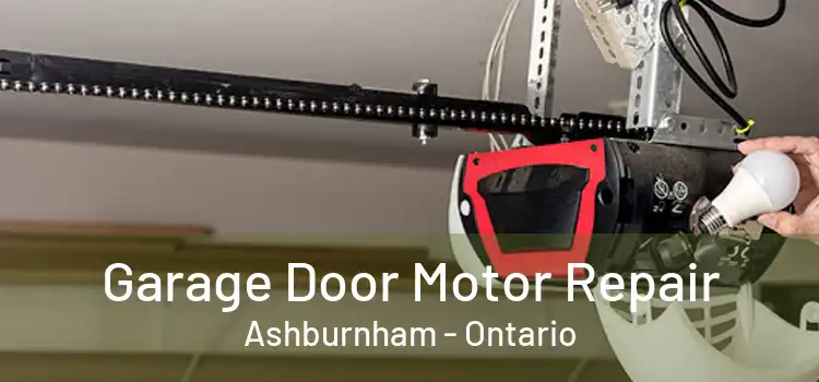 Garage Door Motor Repair Ashburnham - Ontario
