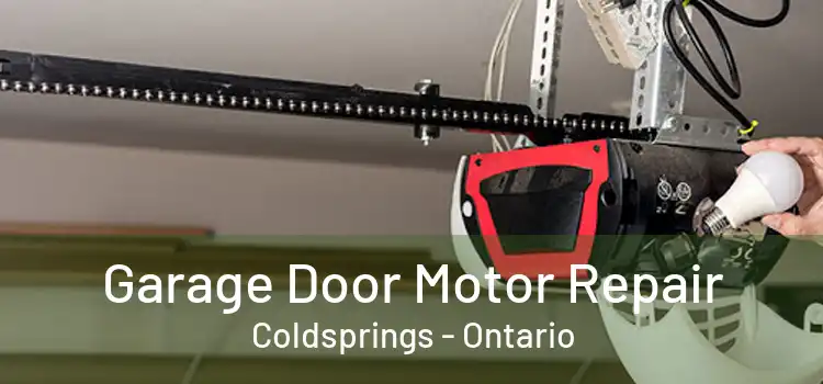 Garage Door Motor Repair Coldsprings - Ontario