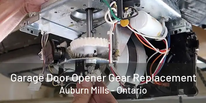Garage Door Opener Gear Replacement Auburn Mills - Ontario