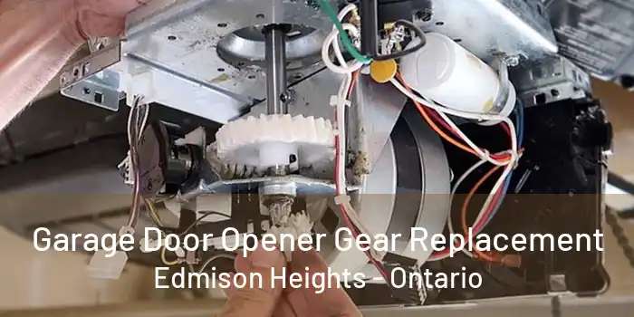 Garage Door Opener Gear Replacement Edmison Heights - Ontario