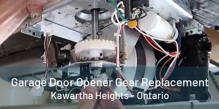 Garage Door Opener Gear Replacement Kawartha Heights - Ontario