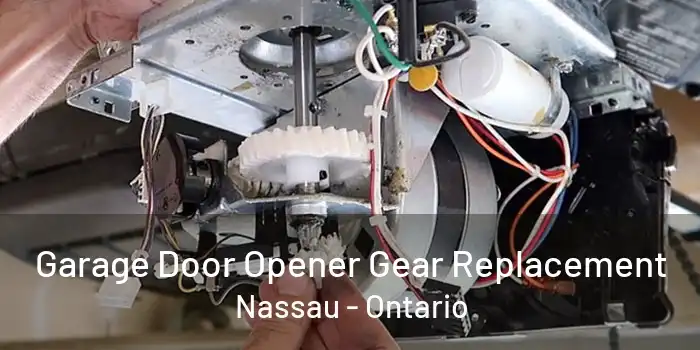 Garage Door Opener Gear Replacement Nassau - Ontario