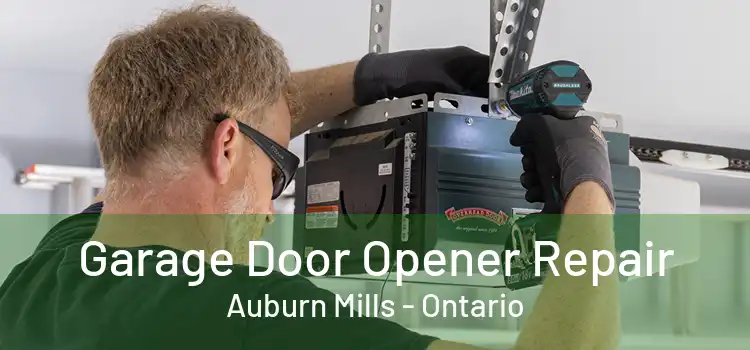 Garage Door Opener Repair Auburn Mills - Ontario