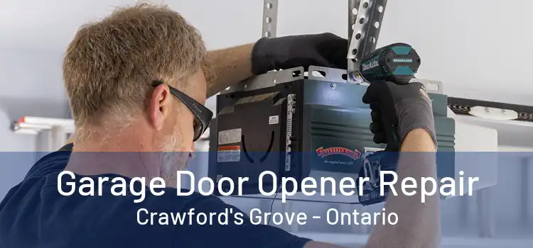 Garage Door Opener Repair Crawford's Grove - Ontario