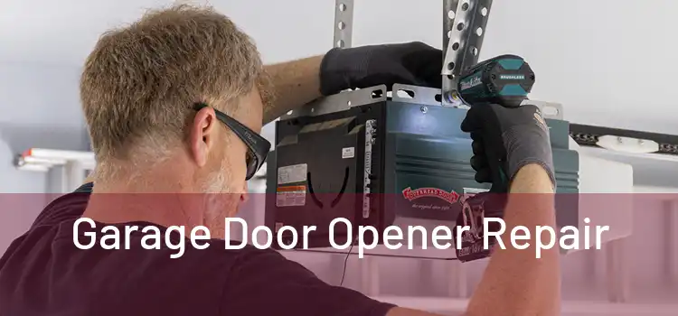 Garage Door Opener Repair 