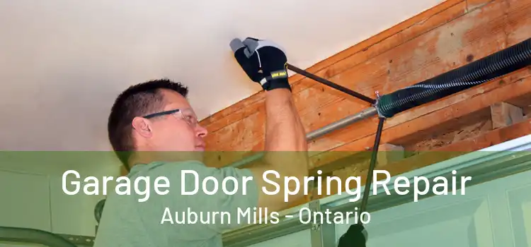 Garage Door Spring Repair Auburn Mills - Ontario
