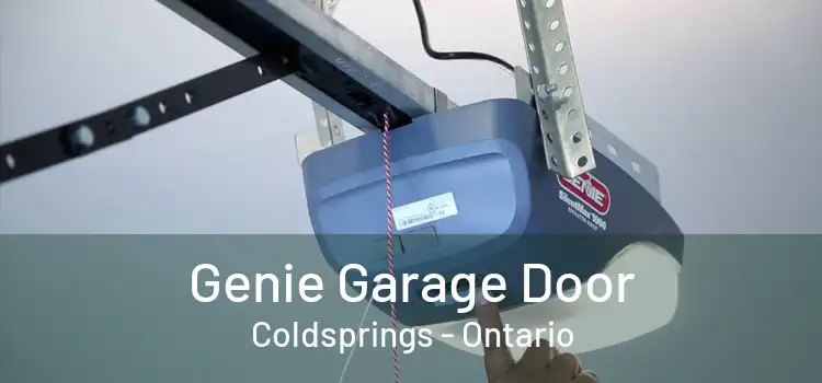 Genie Garage Door Coldsprings - Ontario