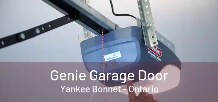 Genie Garage Door Yankee Bonnet - Ontario