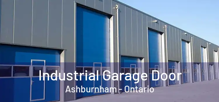 Industrial Garage Door Ashburnham - Ontario