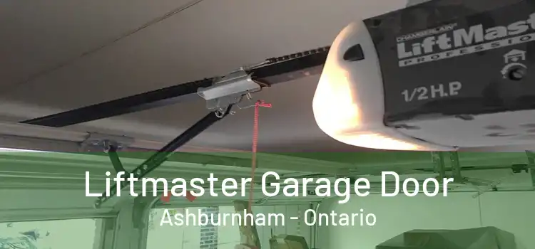 Liftmaster Garage Door Ashburnham - Ontario