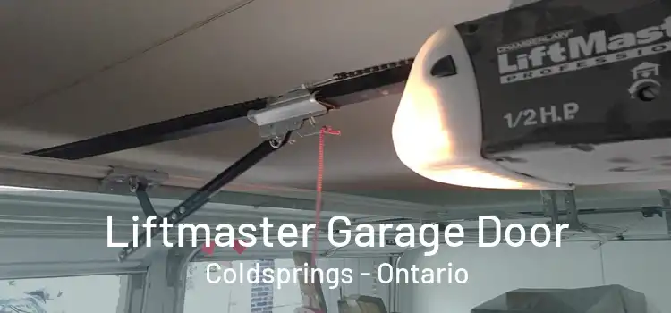Liftmaster Garage Door Coldsprings - Ontario