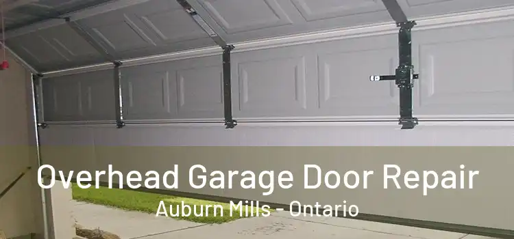Overhead Garage Door Repair Auburn Mills - Ontario