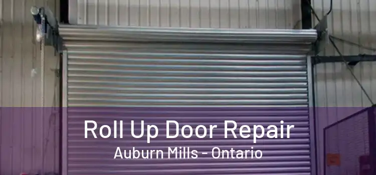 Roll Up Door Repair Auburn Mills - Ontario